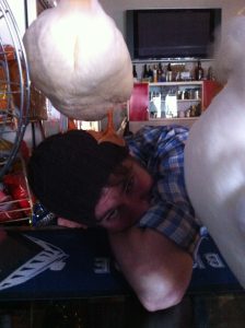 Director Andy Martin Massersmith with Penny the Duck