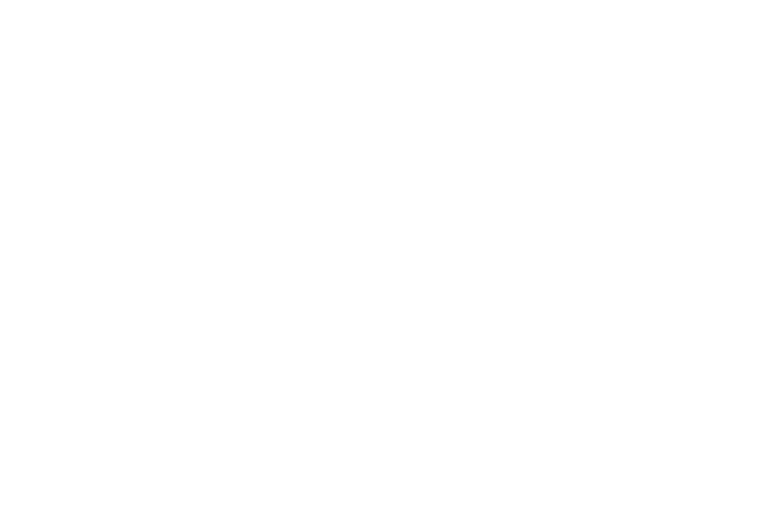 Finalist