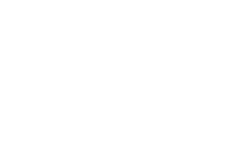 Official selection