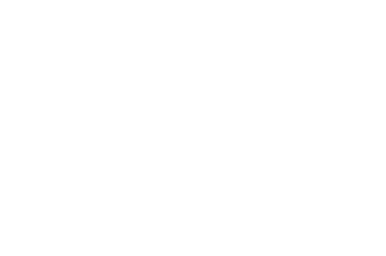 Official selection